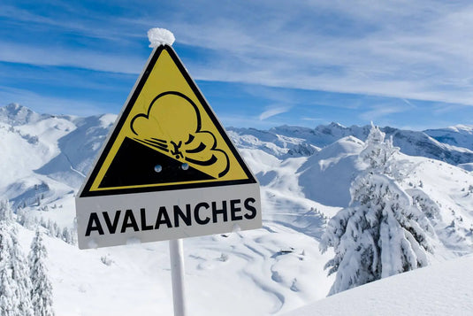 Winter Alpine avalanche logo symbolizing snow safety and awareness